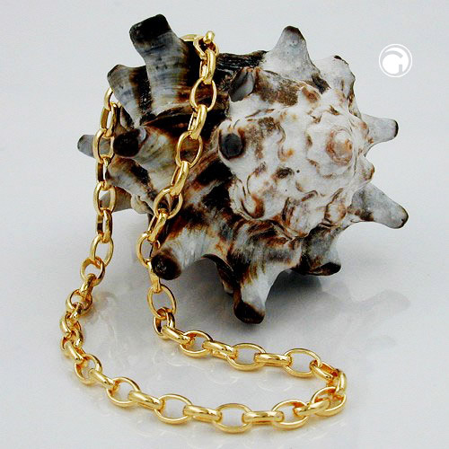 Bracelet doré 3.5mm fermoir pince