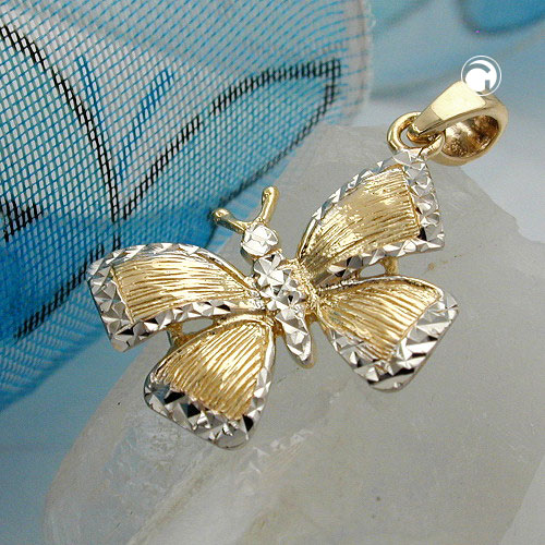 Bijou or papillon bicolore vue de face