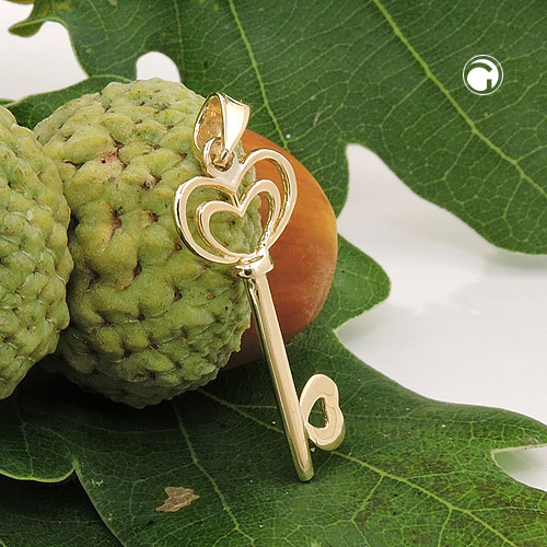Clé en or 375/000 pendentif cœur de profil