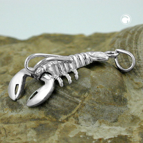 Pendentif astrologique Cancer en argent 925/000 vu de face