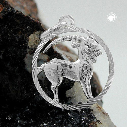 Pendentif Capricorne argent sterling vue détaillée