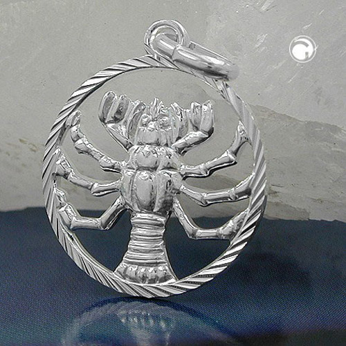 Pendentif astrologique Cancer en argent sterling vue de face