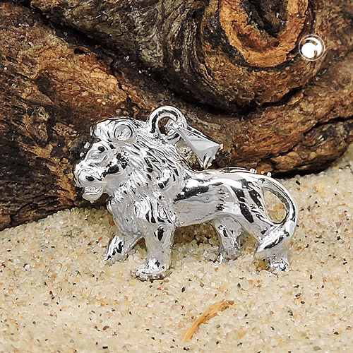 Pendentif argent Léo, détail du motif en relief et finition brillante