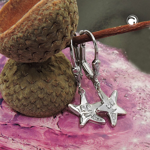 Paire de boucles d'oreilles en argent sterling forme étoile