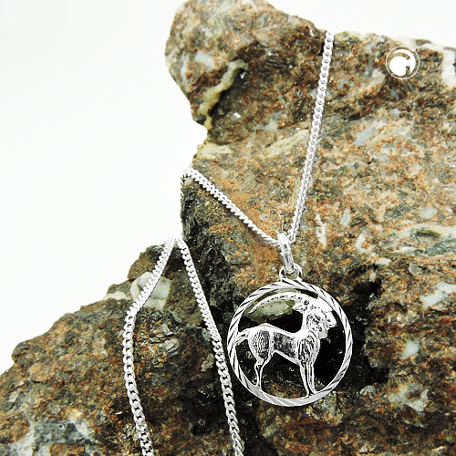 Pendentif Capricorne en argent sterling sur chaîne